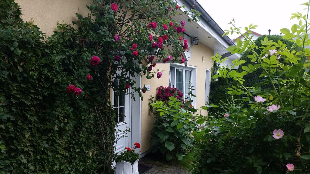 Haus Sandra Heringsdorf  Eksteriør bilde